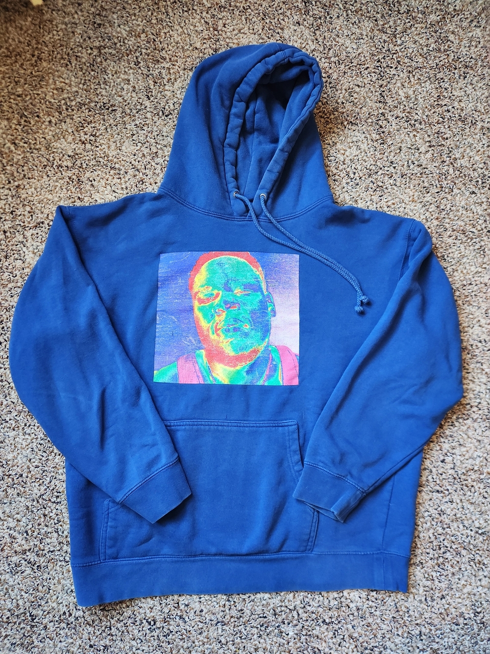 Fruit of the Loom Blue Pullover Hoodie with Vibrant Portrait Graphic